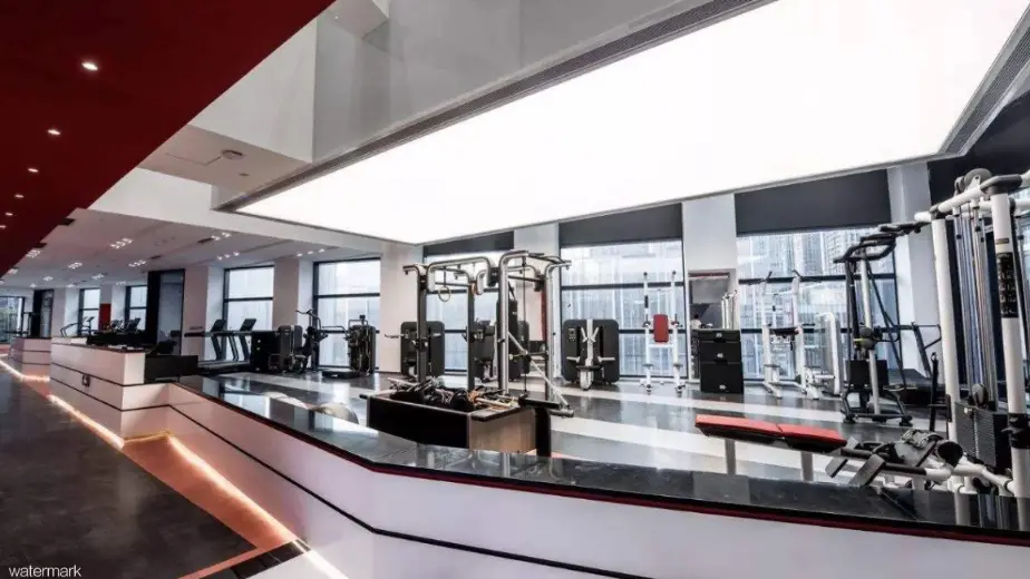 customized colorful speed gates