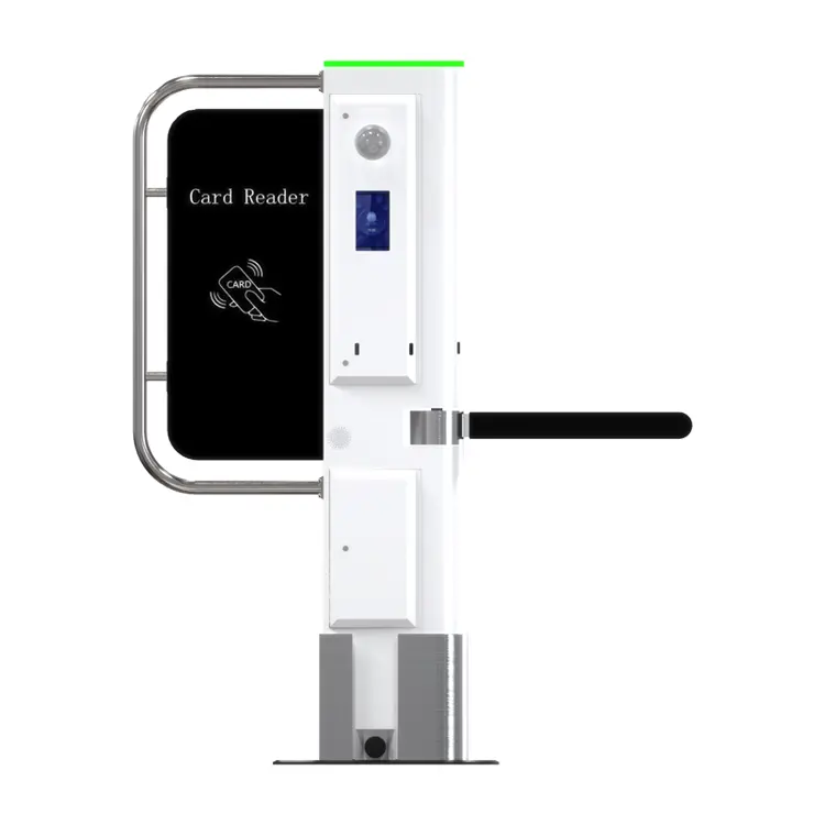 Турникет снежных ворот