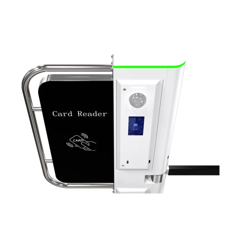 Турникет снежных ворот