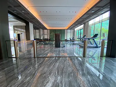 Турникет с воротами скорости колонны